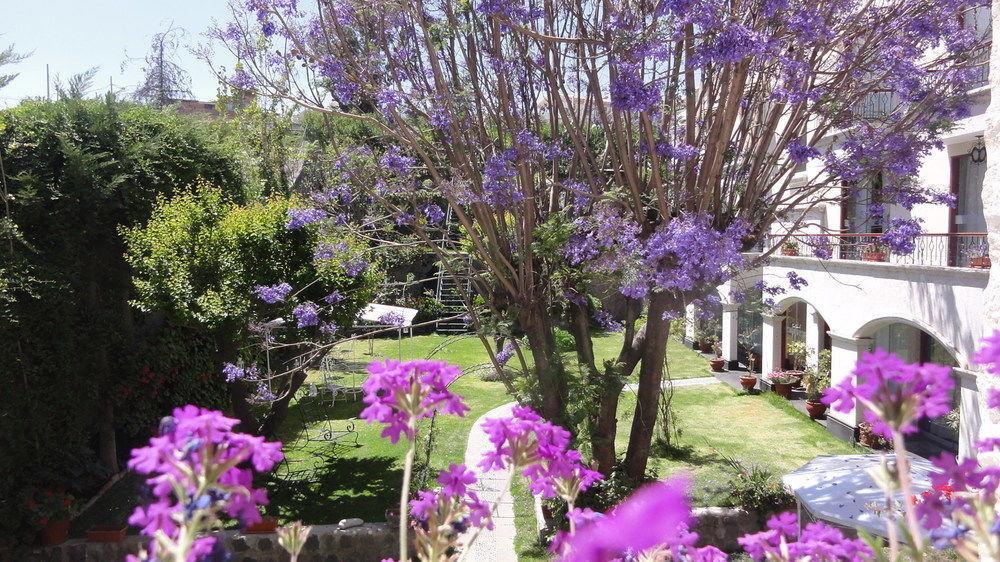 Hotel Boutique Villa Elisa Αρεκίπα Εξωτερικό φωτογραφία