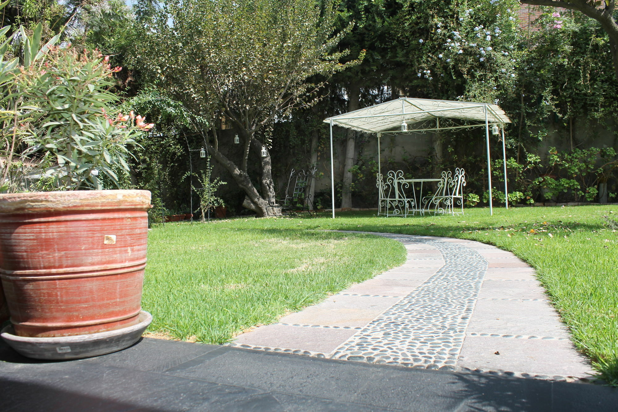 Hotel Boutique Villa Elisa Αρεκίπα Εξωτερικό φωτογραφία